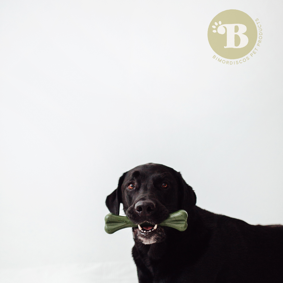 BIMORBOX Grande - Pack  Snacks y Juguetes Naturales para Perros, , large Imagen numero 4